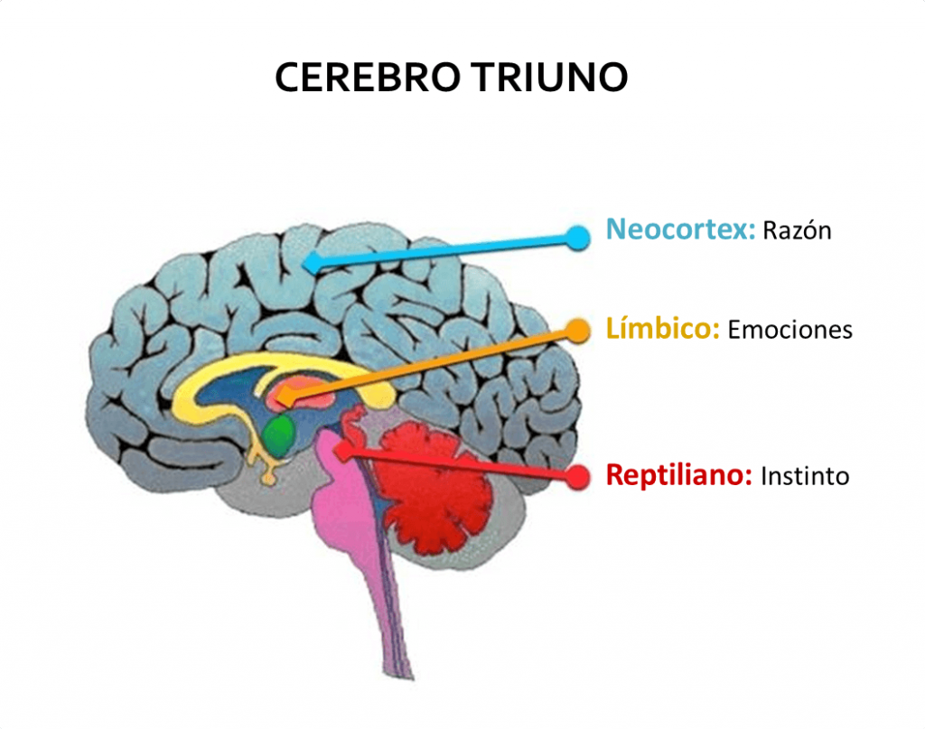 El cambio del cambio
